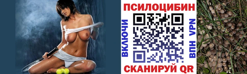 Псилоцибиновые грибы мицелий  Удачный 